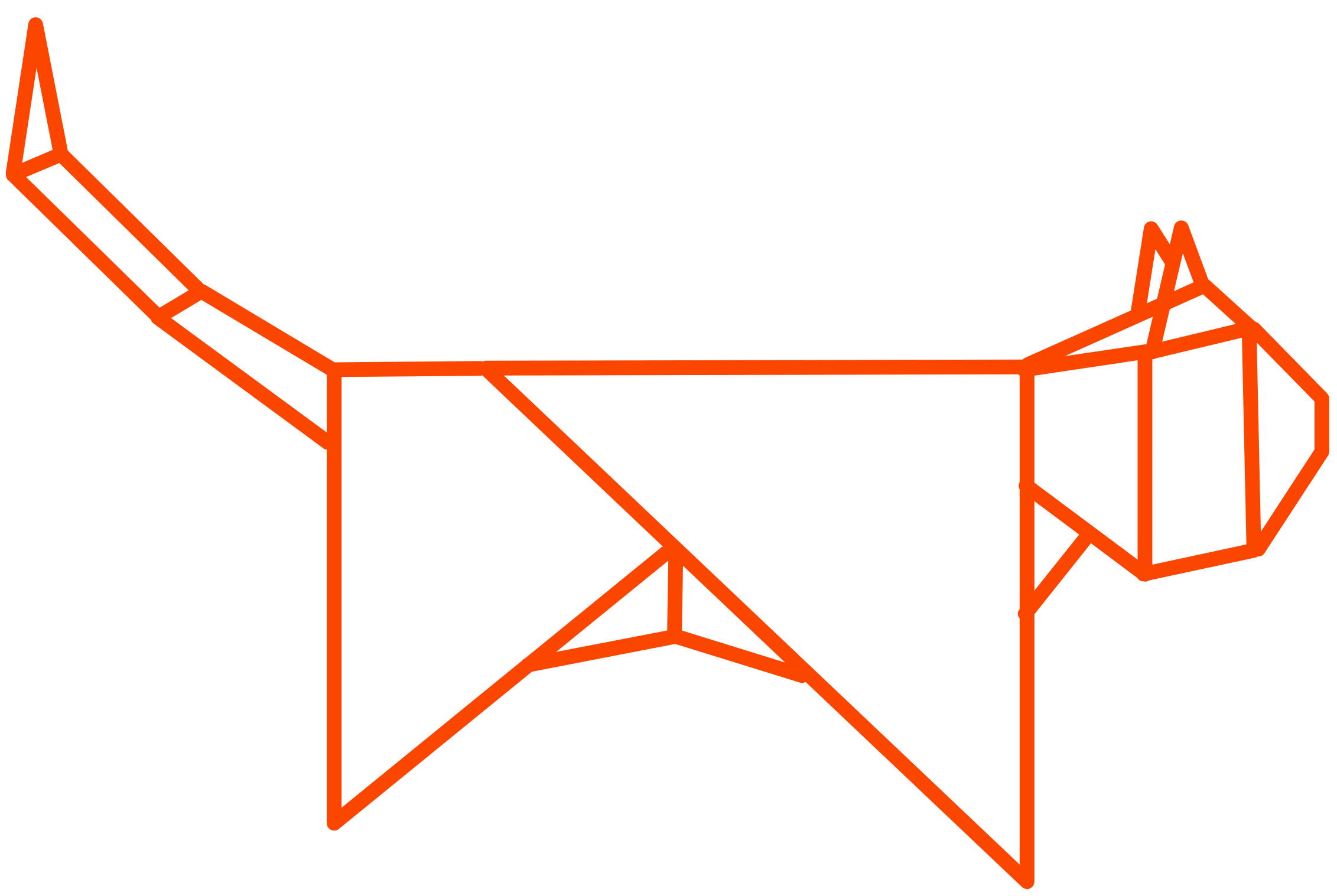 Rainbow Tigers Foundation, INC.